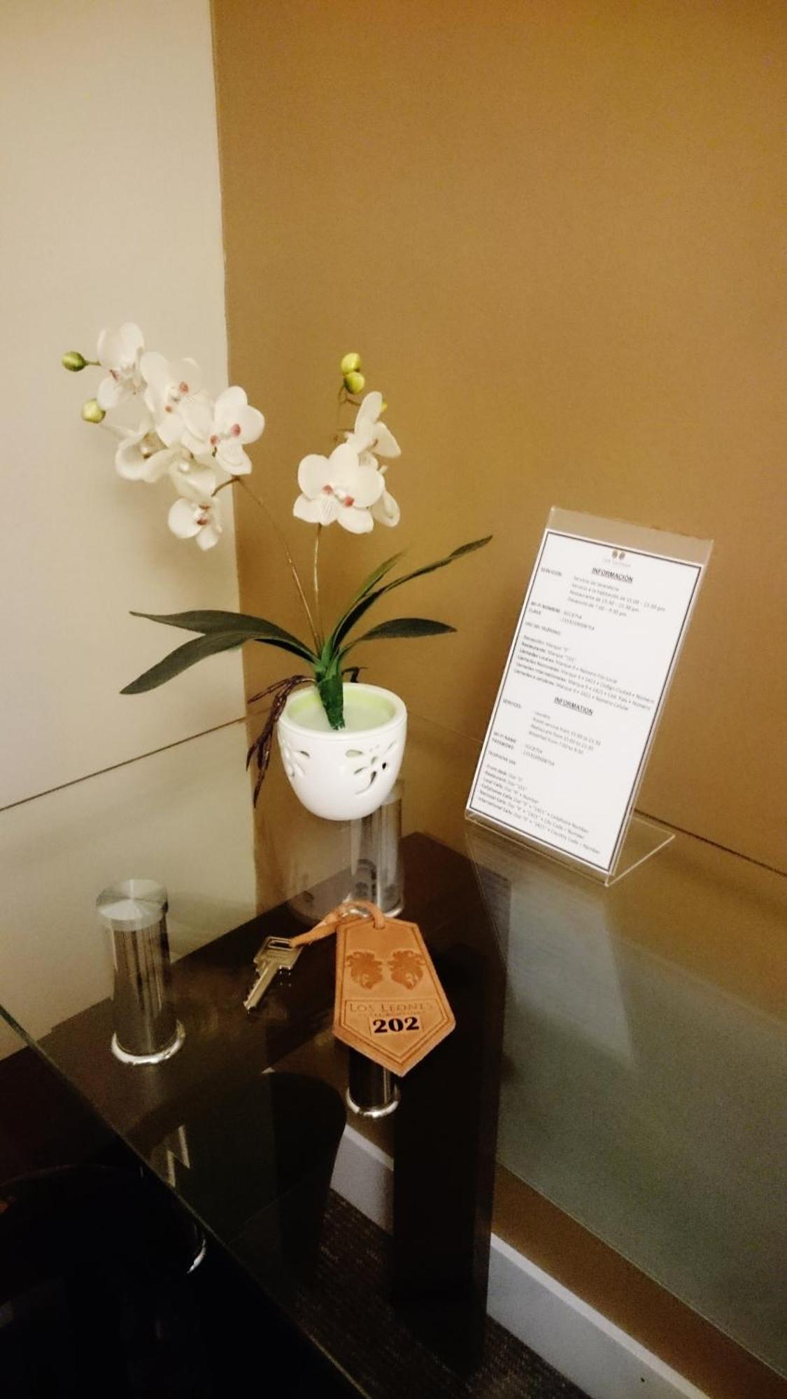 Los Leones Hotel Boutique Yanahuara Δωμάτιο φωτογραφία